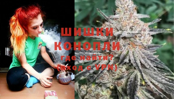 спайс Алзамай