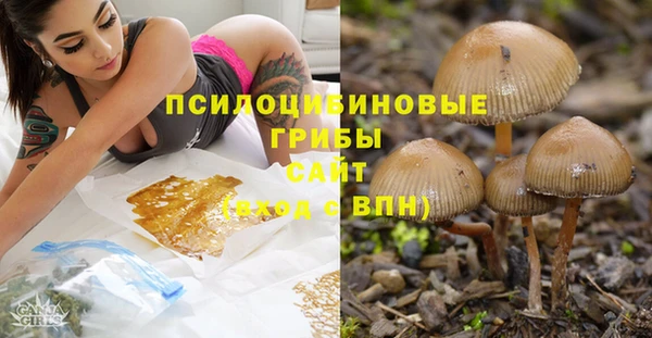 ешки Алексеевка
