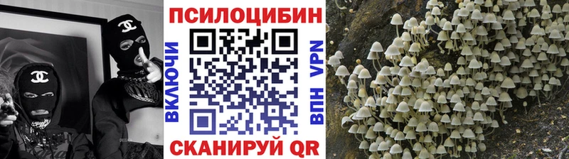 Псилоцибиновые грибы GOLDEN TEACHER  Уссурийск 